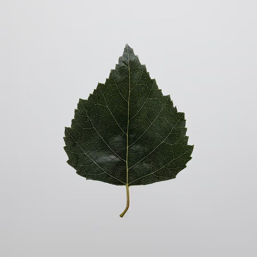 Hyaluronic Anti-Pollution CC Cream SPF15: Medium